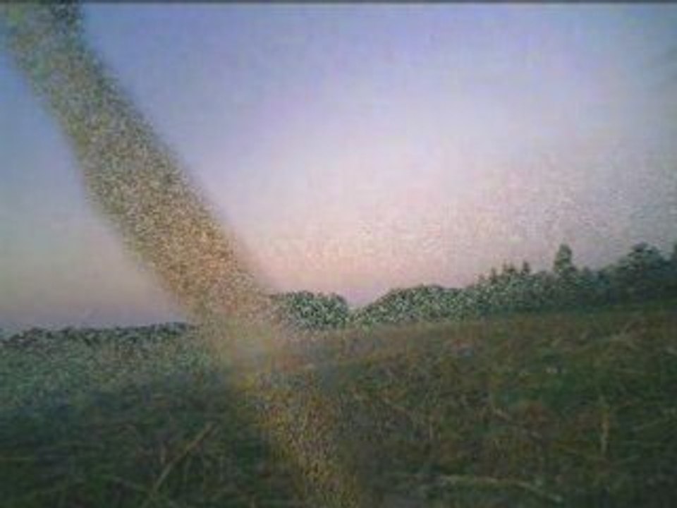GEM2000 crepuscule 080908