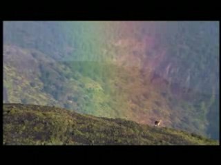 Alex M.O.R.P.H. - Walk The Edge