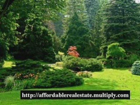 Affordable Real Estate Blog