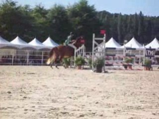 freres belge à la cense cso