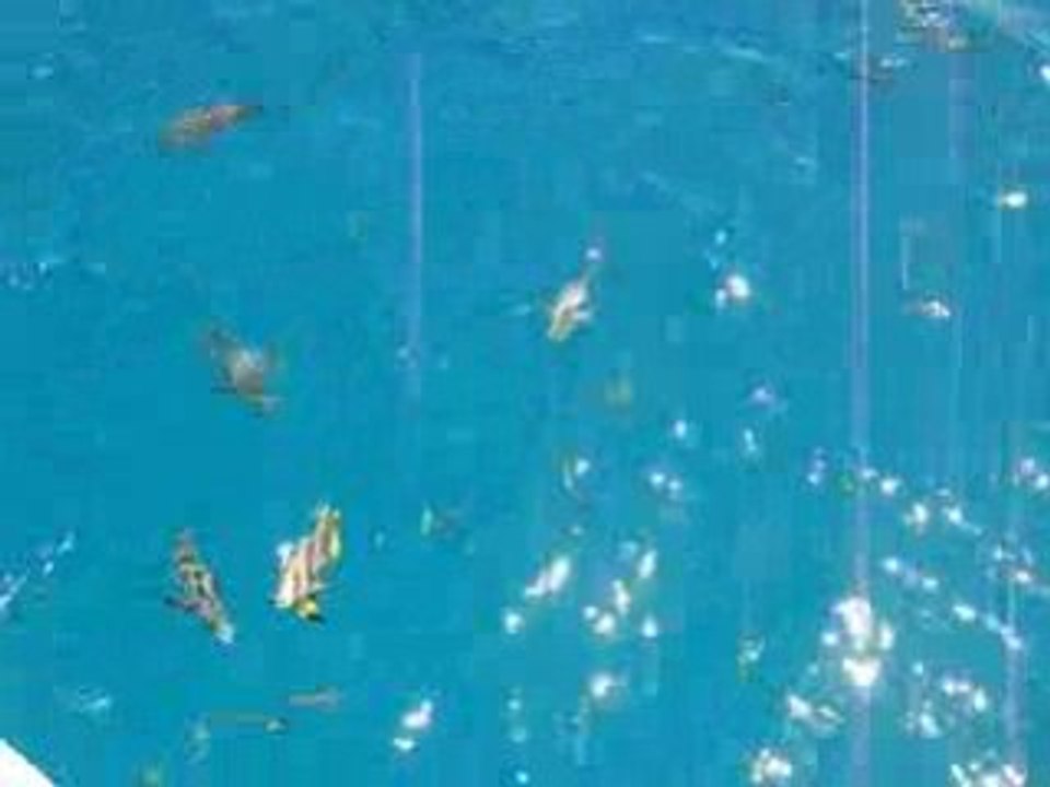 Norman's Reef - 2