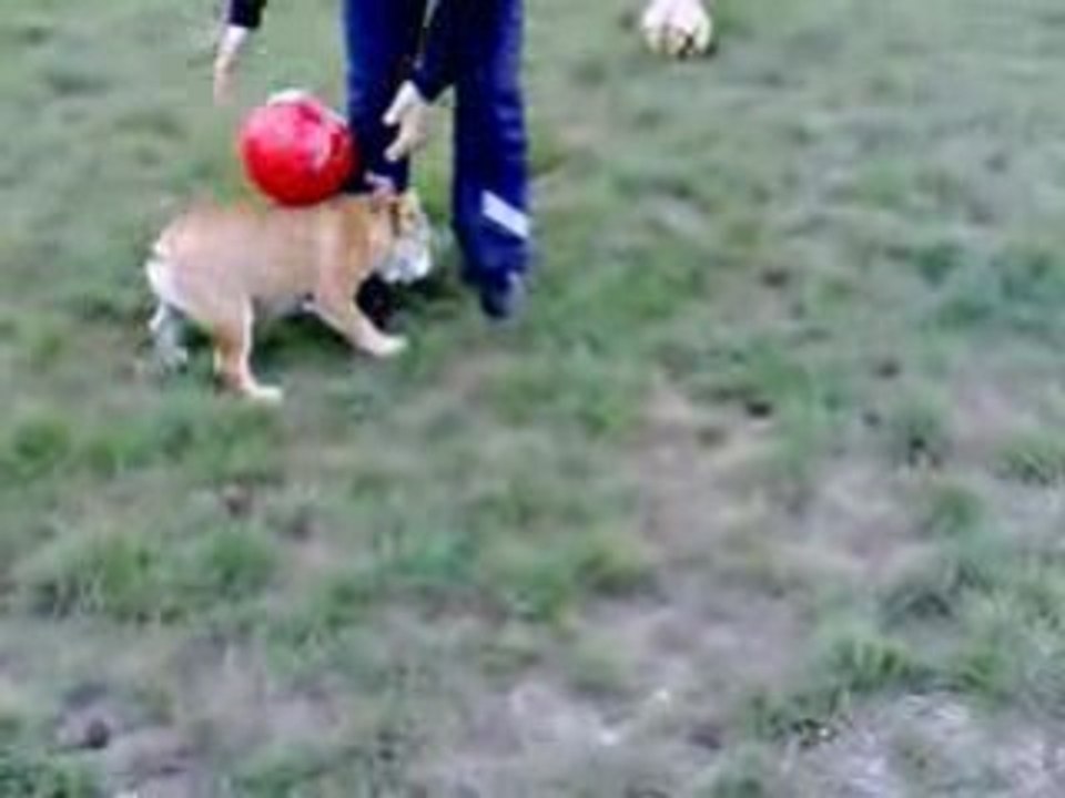 Moi et diego