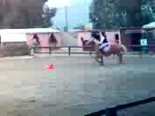 moi sur vicking en obstacle