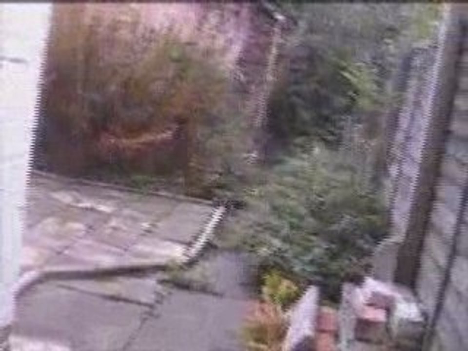 Visite de la maison