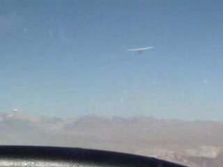 LOS HALCONES DEL DESIERTO