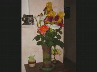 Bouquets de fleurs