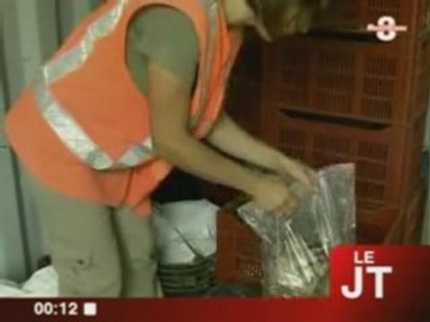 TV8 Mont-Blanc - Nouvelle campagne de fouilles archéologiques à Chambéry