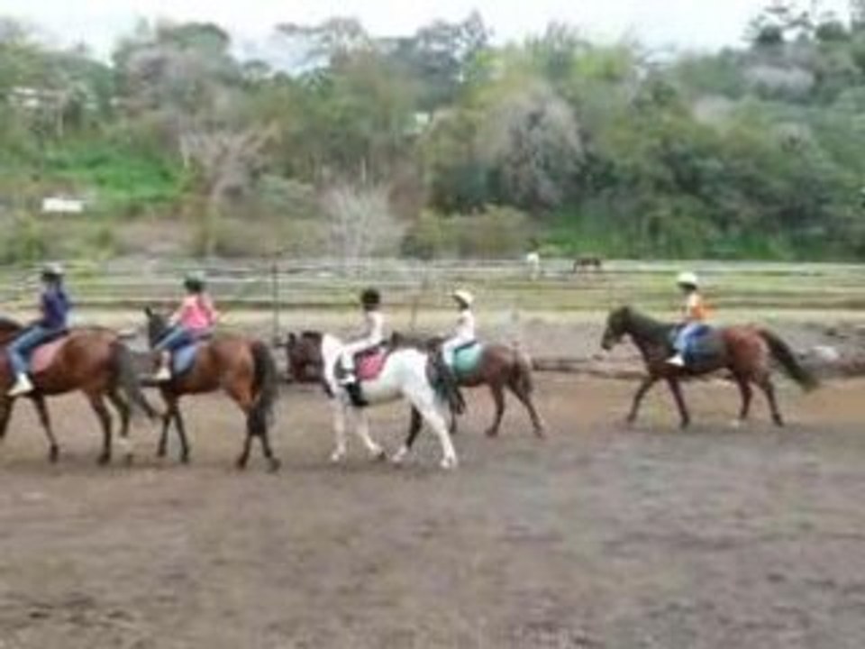 Equitation2 021
