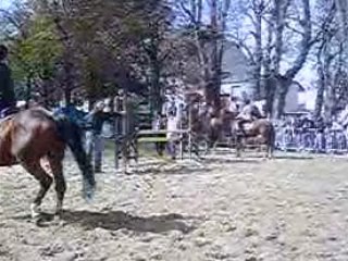 Vidéo des puisances à la fête du cheval