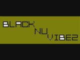 [BlAcK.nU.VibEz 2008] DJ_FAK PRESENTS RNB MIX 2