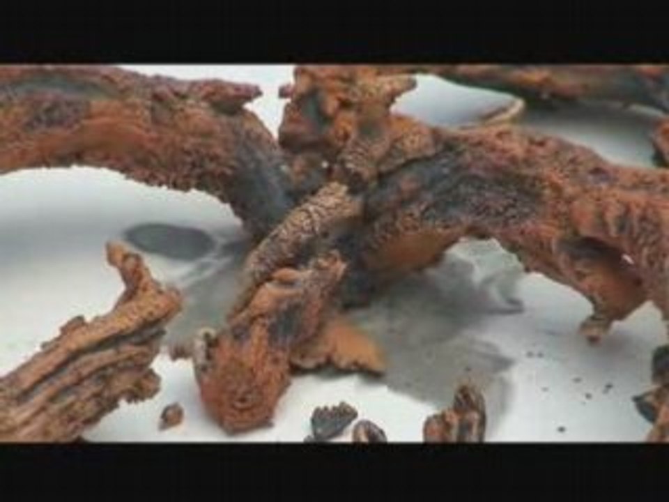 Combustion de Thiocyanate de mercure