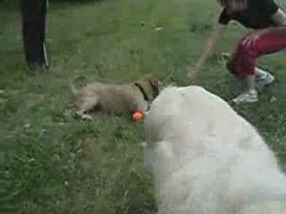 Les copines de Titus