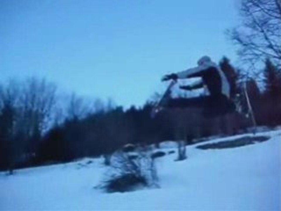 Freestyle Ski