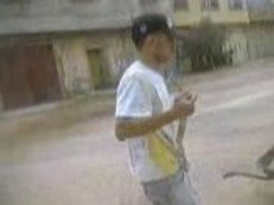 zizo_8