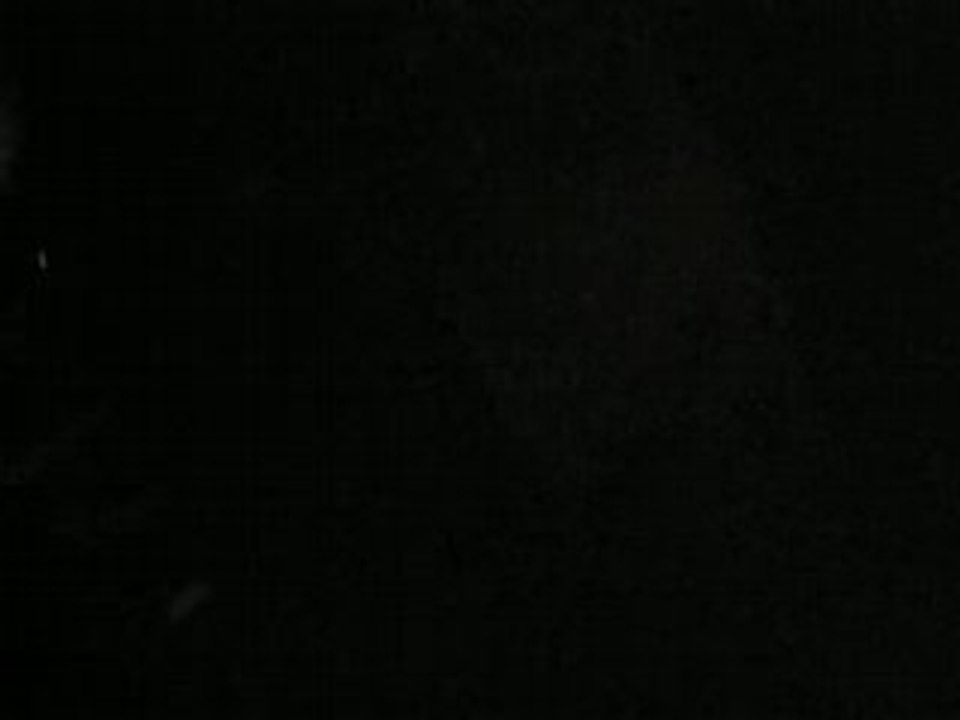 MVI_4095