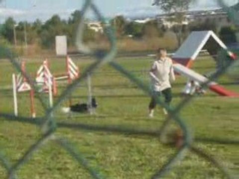 Silver Open agility eurocopter