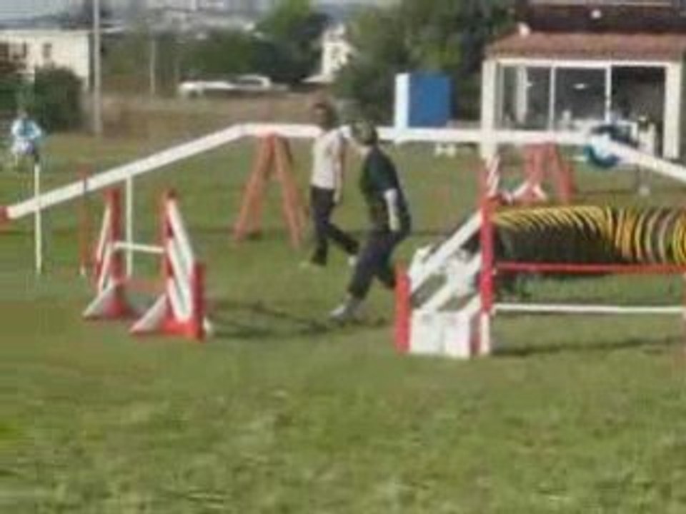 Sunny gpf agility eurocoper