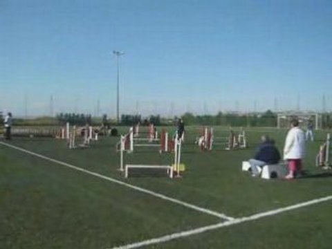 Sunny jumping agility eurocopter