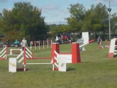 Sunny open agility eurocopter