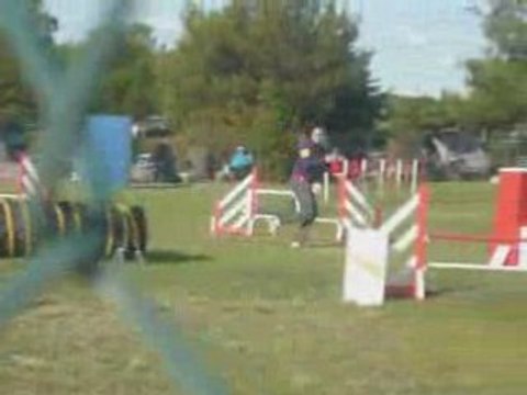 Tailee open agility eurocopter