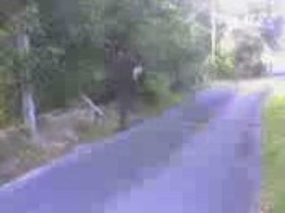 Vidéo 0014