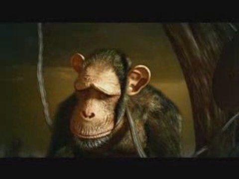 Global Warming: Suicide collectif des animaux