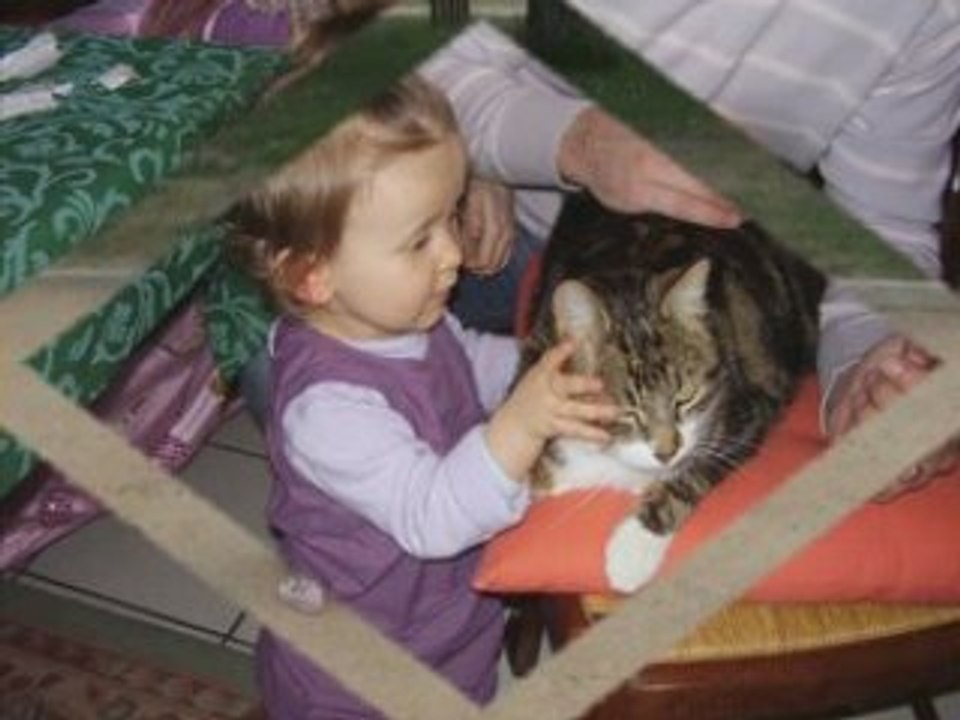 Montage photos et videos Clara P