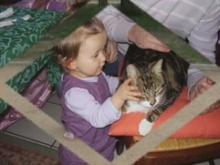 Montage photos et videos Clara P