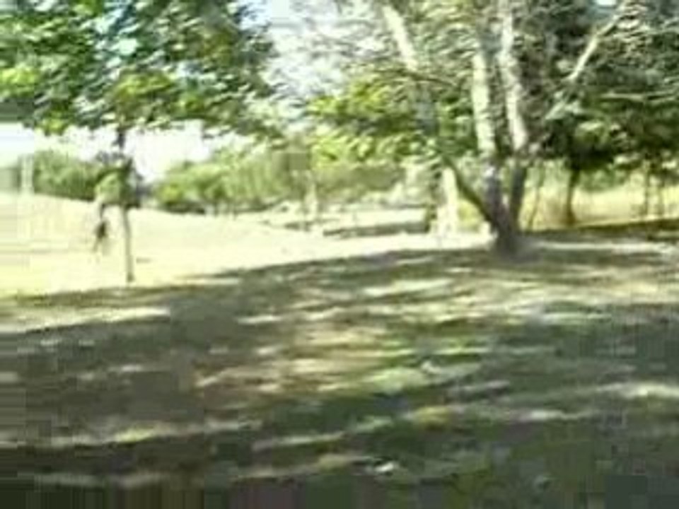 IMGP1713