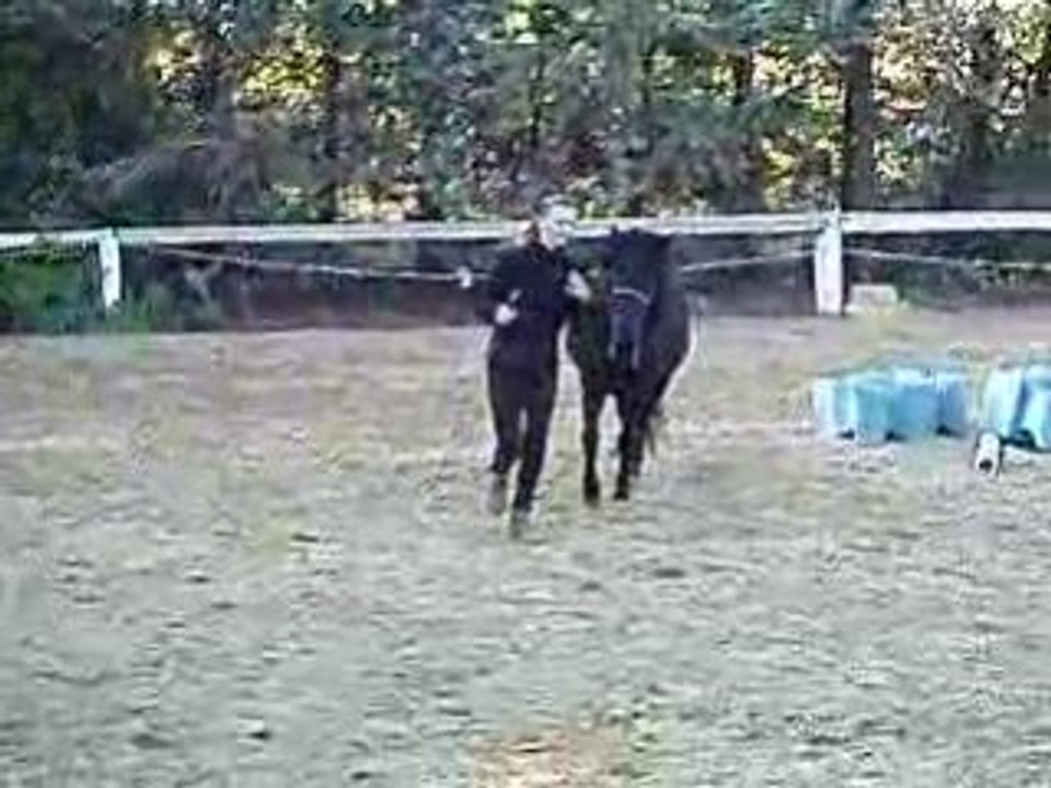 P1010037