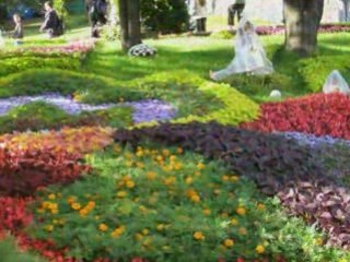 Фильм Выставка цветов