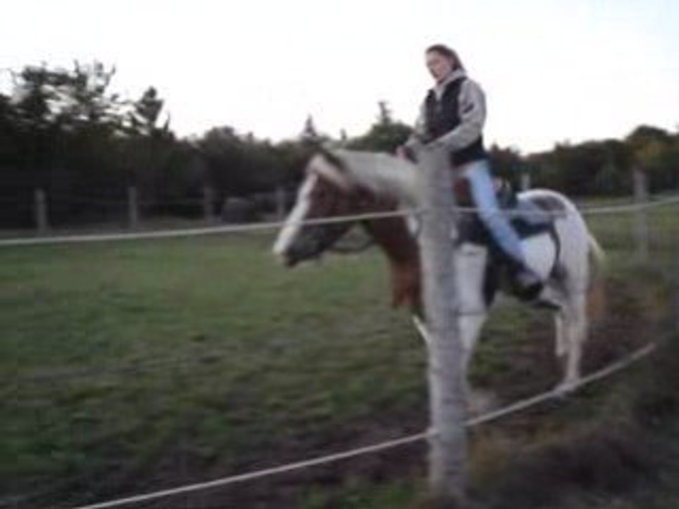 Ginger et l'Entraineur