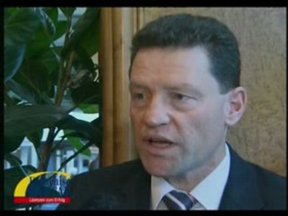 Franchise Bau Massivhäuser Town & Country