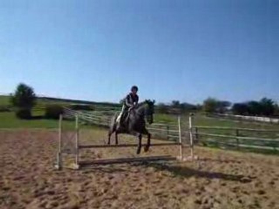 Saut au trot