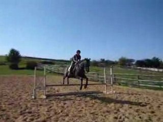 Saut au trot