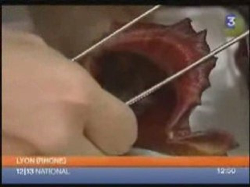 Une souris mangée par une plante carnivore