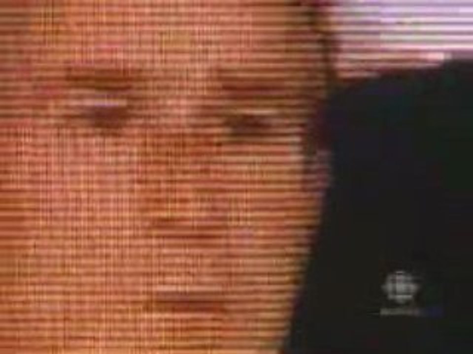 Il a vu le 1er zing a la TV