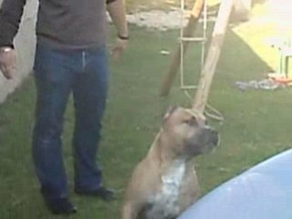 Video 5