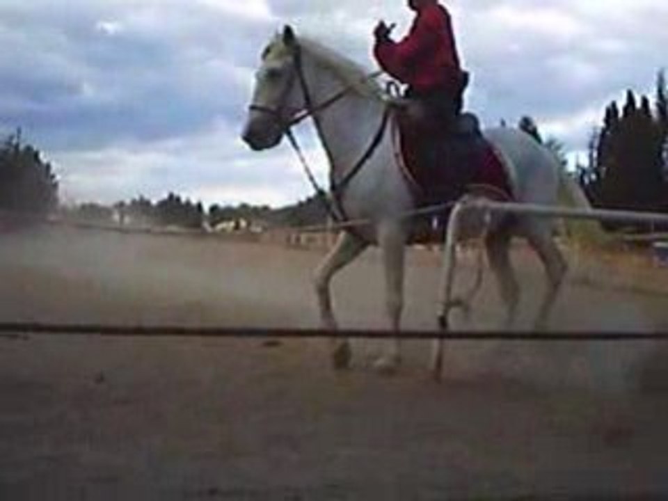 Spectacle