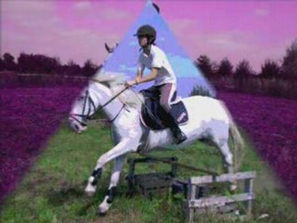 Saut toupie