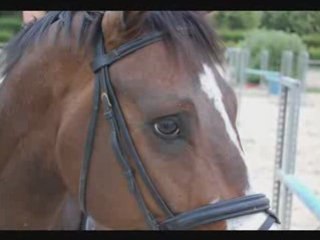 ♥Orion♥