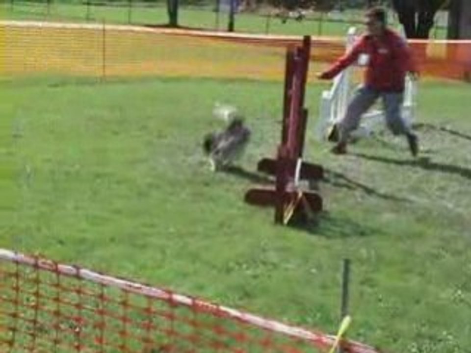 Vick_GPF Dambenois