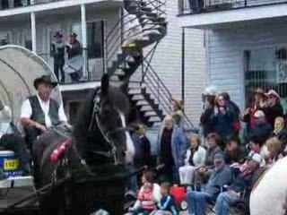 Festival St Tite - Québec 2008 - part 2