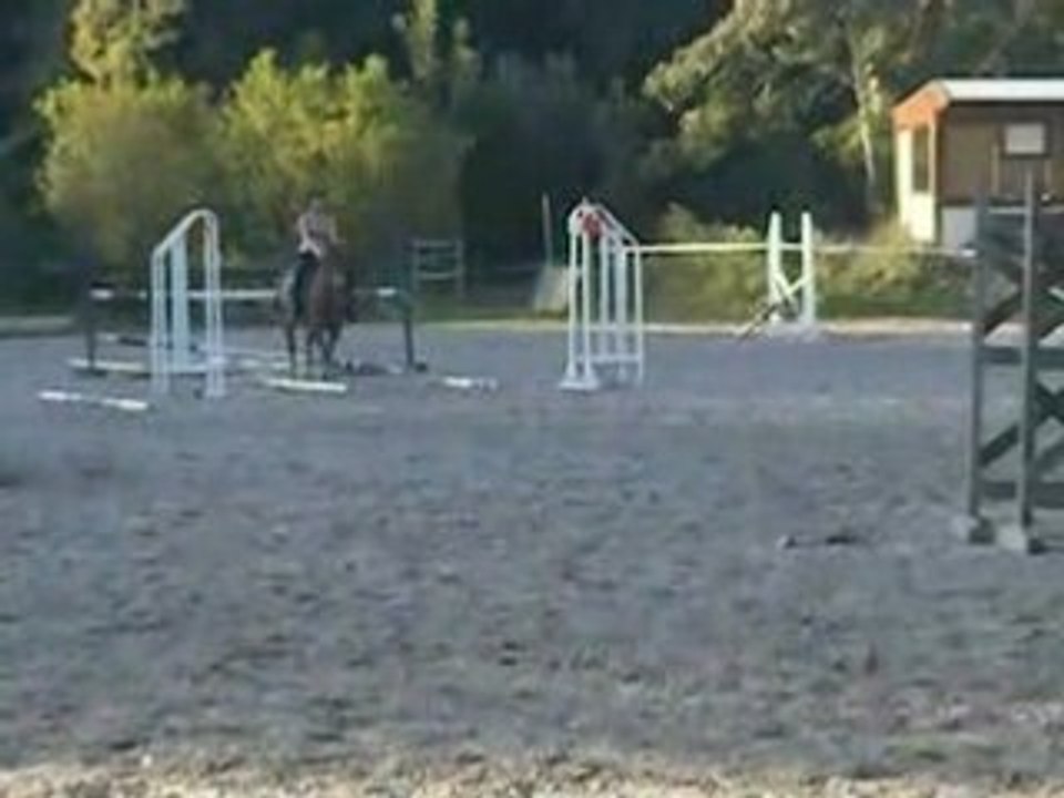 DSCN4917