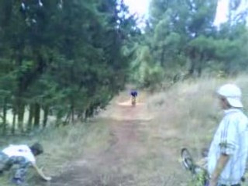 MOV00511