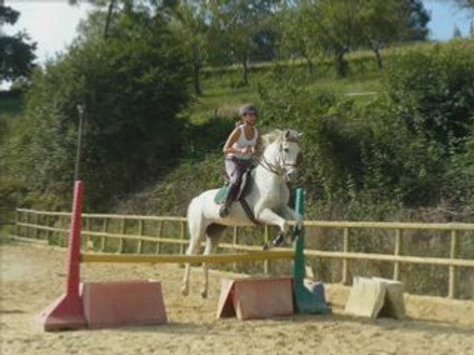 Première séance saut