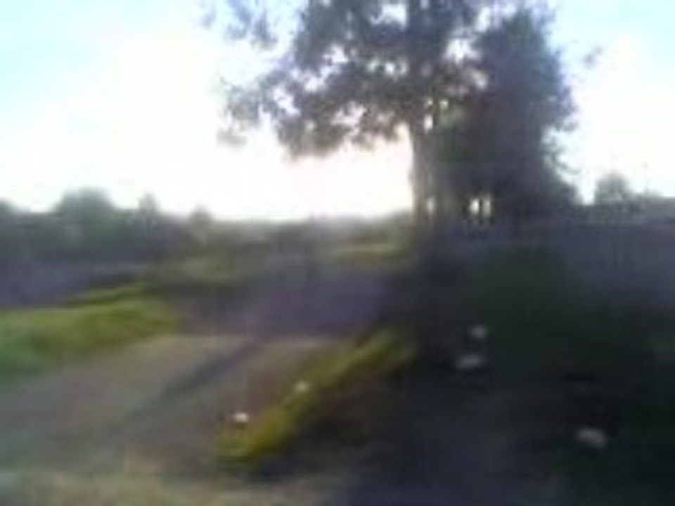 bicross