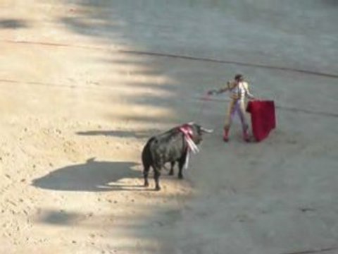 Corrida Sébastien Castella seul contre 6+1 - Nimes 2008