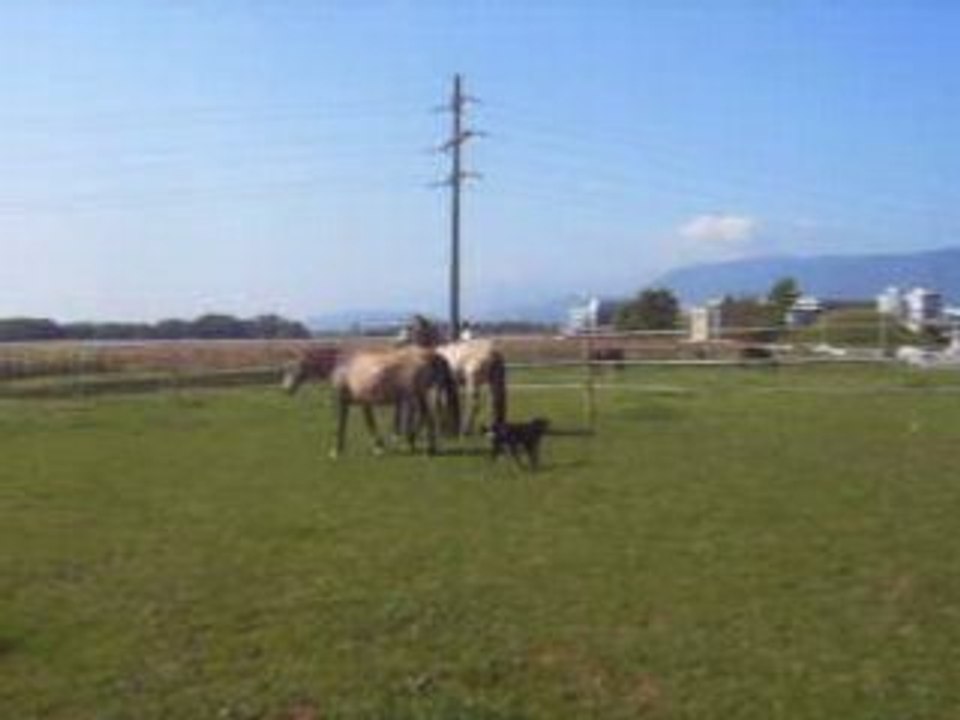 2008_0920_003904