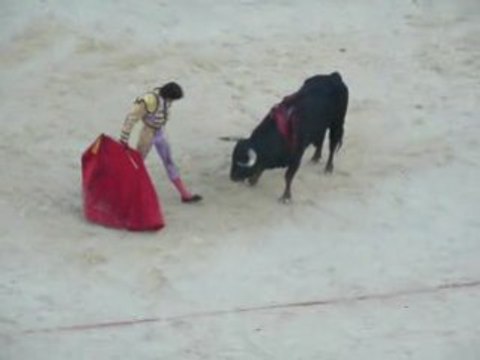 Corrida Castella seul contre 6+1 - Nimes 2008